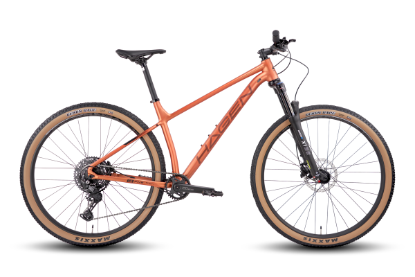 Велосипед HAGEN 5.10 29 (2025)